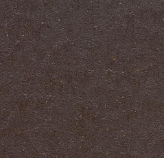 Линолеум Forbo Marmoleum Solid Cocoa 3581-358135 dark chocolate фото 1 | FLOORDEALER